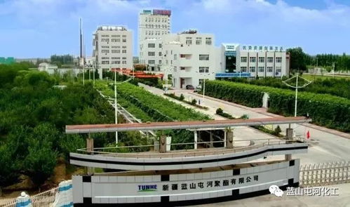 聚酯公司榮膺自治區(qū)綠色工廠稱號 以技術引領，鑄就綠色可持續(xù)發(fā)展新標桿
